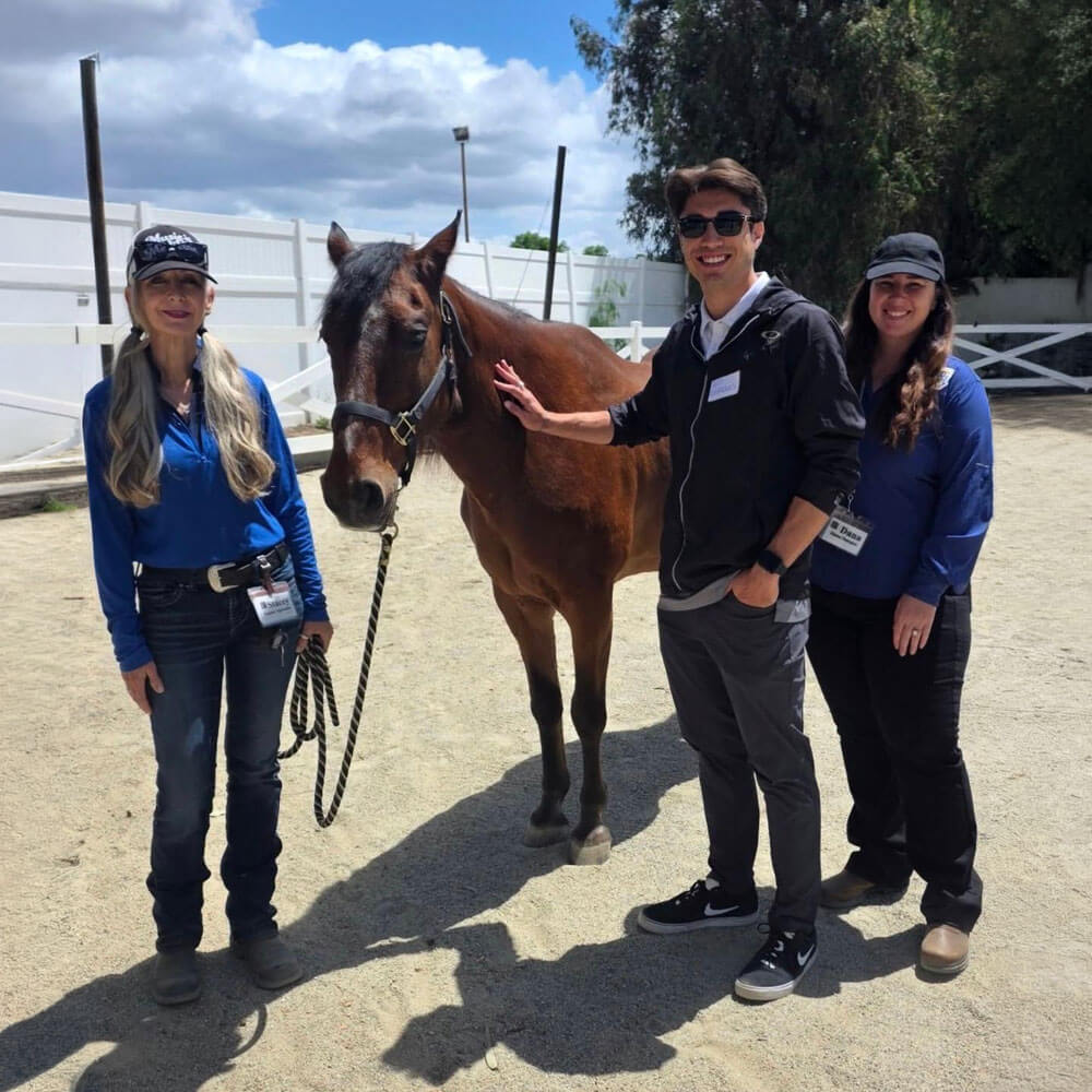 june_newsletter_2026_8 Three people wearing name badge lanyards stand together in a sunny outdoor arena, smiling as one of them gently rests a hand on a brown horse's neck.